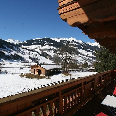 Appartementhaus Salzmann バート・ホーフガシュタイン エクステリア 写真