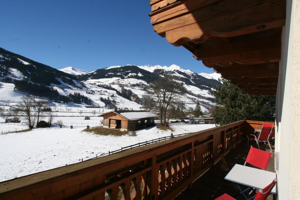 Appartementhaus Salzmann バート・ホーフガシュタイン エクステリア 写真
